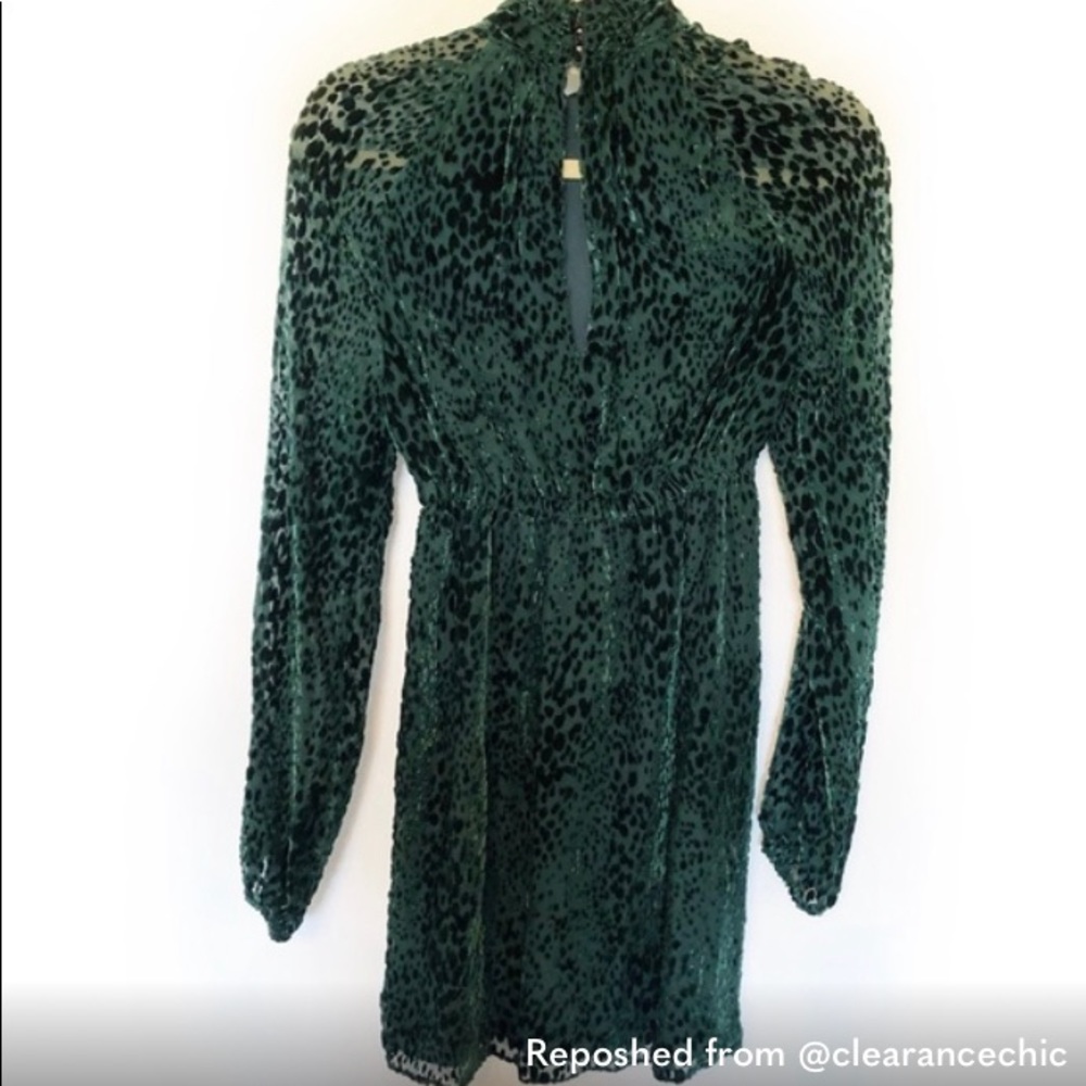 A.L.C Nadia Green Animal Print Velvet Dress